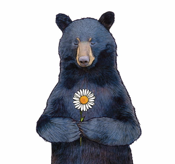 Beary Sorry Gift Enclosure - #Gift4