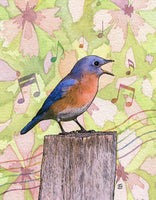 Bluesbird #76